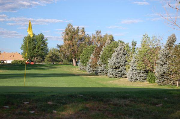 Hole #8 looking back at the tee.