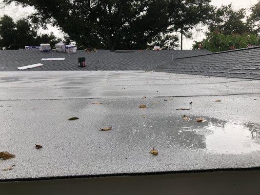 Failed roof with standing water (1)