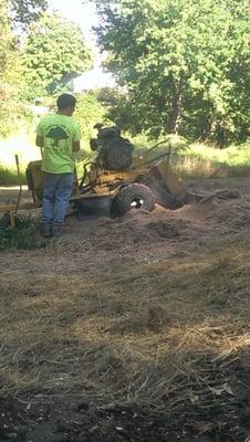 Stump Grinding in Westport, CT