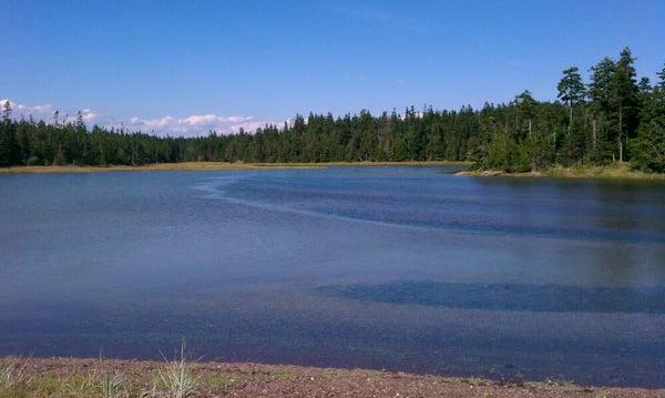 Lagoon and salt marsh.