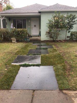 After: the front walkway 2 weeks after completion. Lamp black, just hoses down after we put in fresh sod and mondo grass.