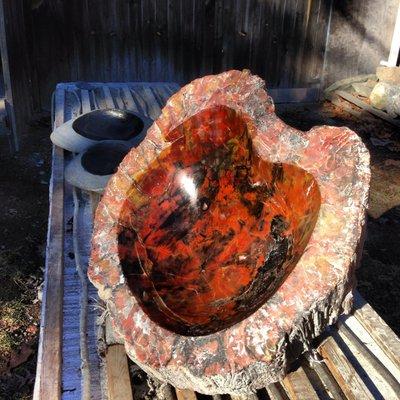 Petrified Wood bird bath.