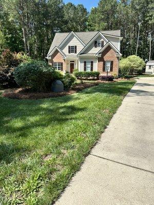 Hedge trimming and Pinestraw in Zebulon NC!