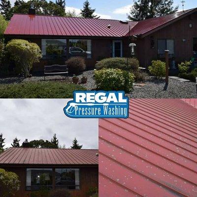 Regal Pressure Washing