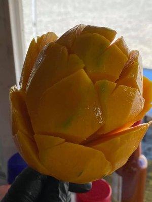 Mango flower