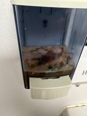 This is the soap in the women's bathroom with MOLD!