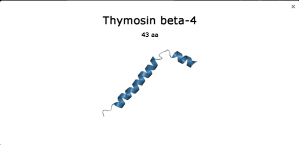 Thymosin Beta-4