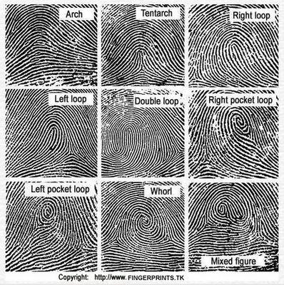 What kind of fingerprint pattern, do you have?