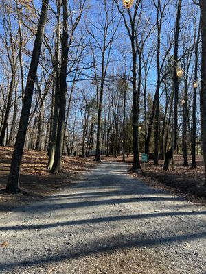 Entrance to tree picking