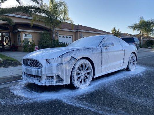 Mustang gets paint correction