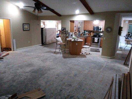 Before Hardwood