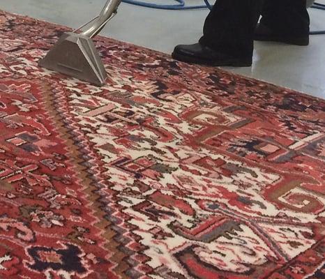 Area Rug Cleaning