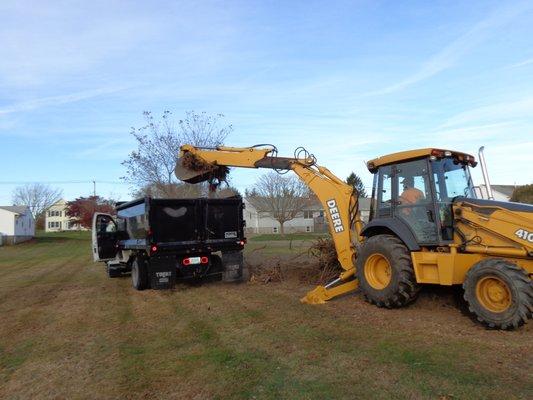 Tree and brush removal