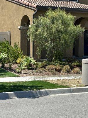 landscaping Garden service Madera