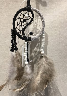 Dream Catchers