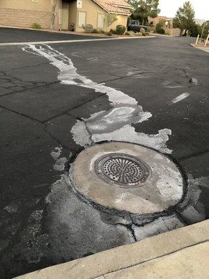 Oops! Salted water from old softener was drained at curbside, but ran across the blacktop street