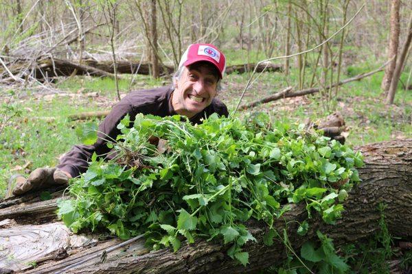 An Urban EcoSteward poses with a pile of uprooted garlic mustard in Frick Park.