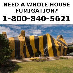 CALL NOW FOR A FREE ESTIMATE!