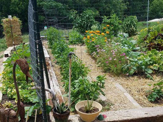 They have an onsite garden!