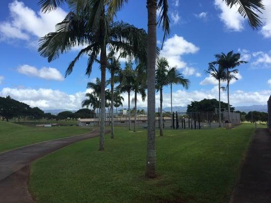 Basketball courts.