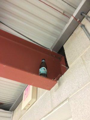 Beer bottle's been up here for over half a year -- management knows, but they don't do anything.