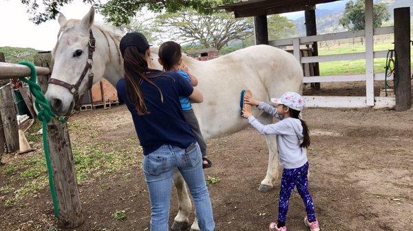 Lokahi Horsemanship