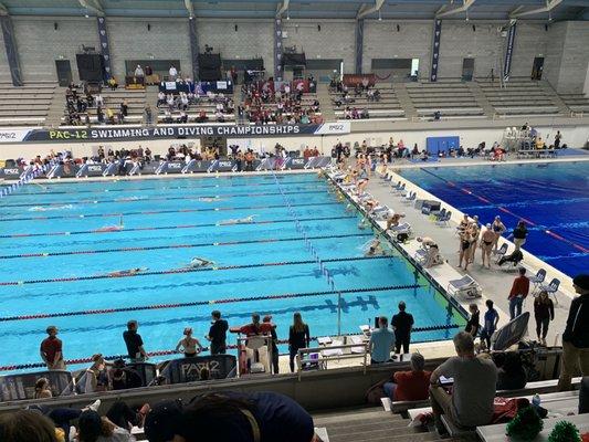 Warm-up, day 3, 2023 Pac-12 Championships (Women's swimming).