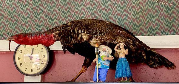 Tropical Santa and Hula Girl fear for their lives as the ancient giant mutant turkey "Gobblera" rises from his sleep.