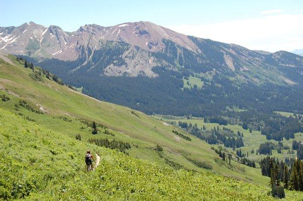 The trail that piqued my interest in mtn biking; Trail 401.