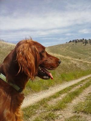 Leia taking in the view during our hike.