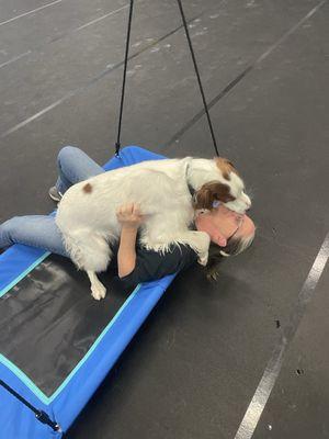 Cuddle time on the swing.