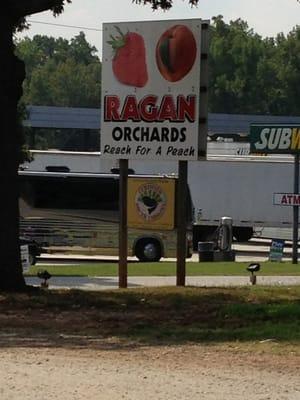 Ragan Orchards