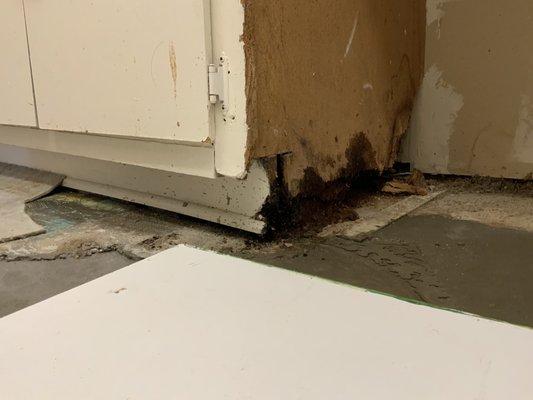 Mold maintenance did not want to fix until I addressed it to management. Part1