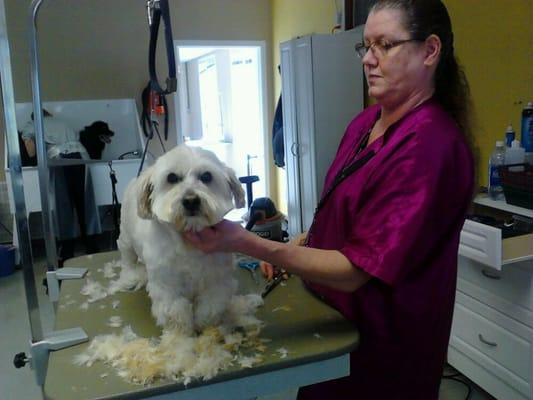 Pooch Parlor