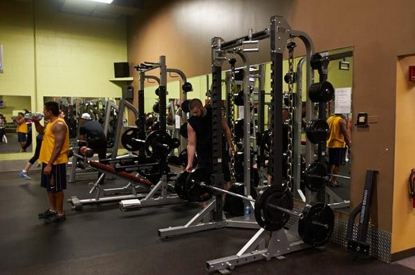 New Power Squat Racks