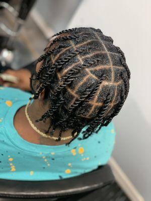 Two Strand Twist