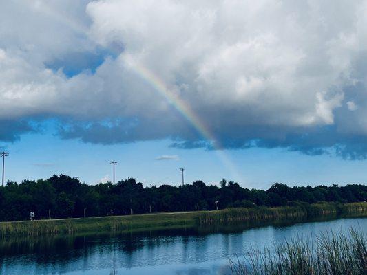 This morning caught a Rainbow!