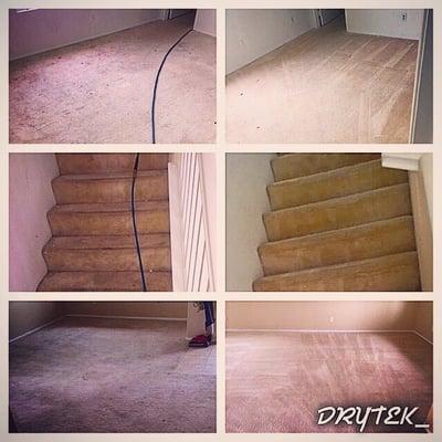 Drytek Carpet Care