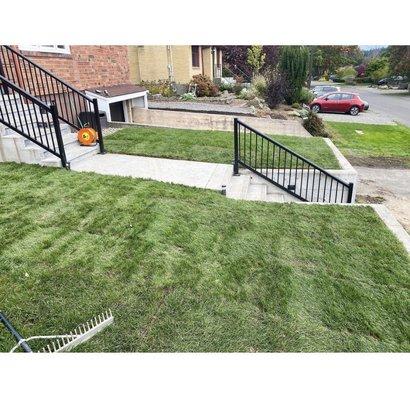 Fresh sod installation in Seattle.