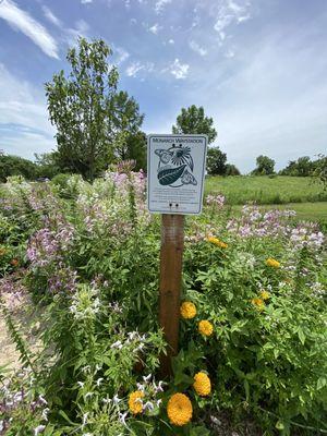 Monarch Waystation