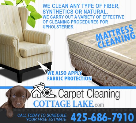 upholstery & mattress cleaning