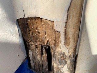 Rotten wood on outside of French doors