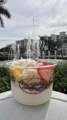 Probiotic parfait frozen yogurt  Topped with granola, banana, yogurt, mango, strawberries, coconut, honey.