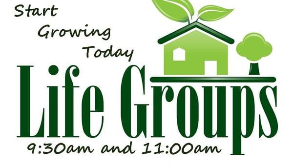 Life groups are an opportunity for you to connect with other people in a small group setting on Sundays at 9:30 or 11:00 am