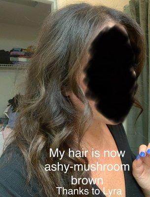 Their "correction" to turning my hair brassy orange was to cover it with an ashy-mushroom brown