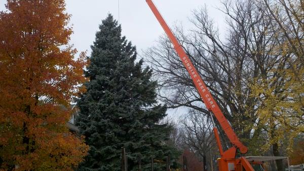 Sunrise crane helping remove the annual Evanston Christmas tree.