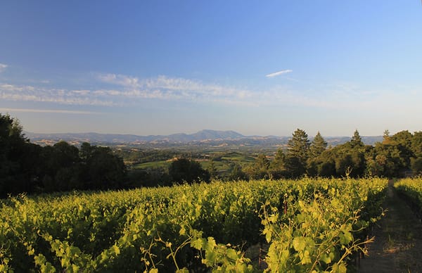 Spectacular views near Healdsburg, Sonoma County