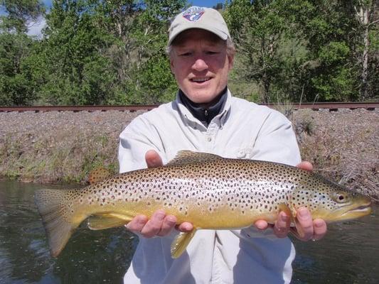 Trophy trout