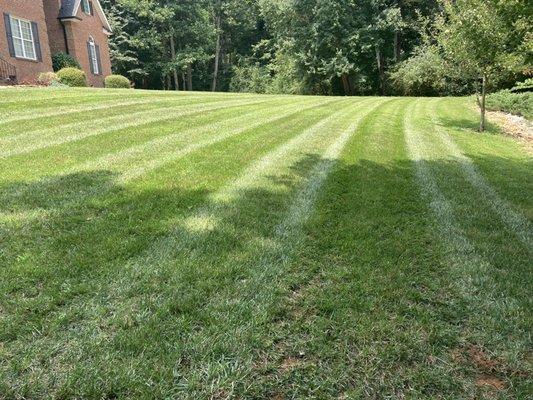 Lloyd’s Lawn & Home Services