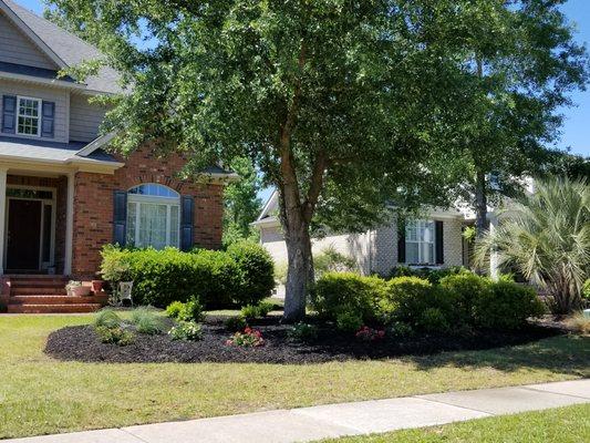 New island for flowering shrubs